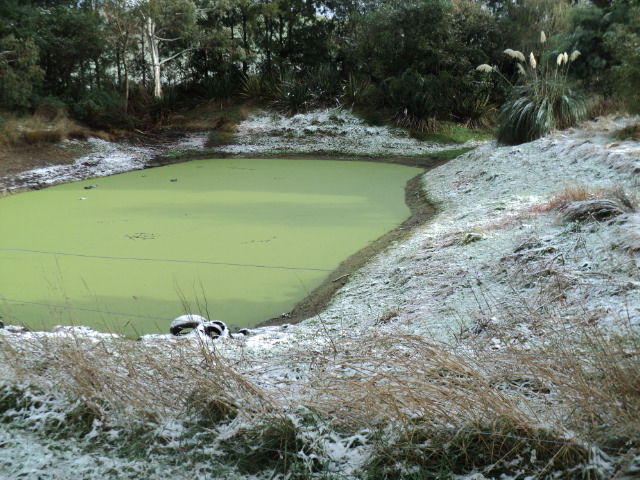 Name:  picture 8624.jpg
Views: 223
Size:  164.7 KB