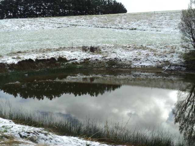 Name:  picture 8626.jpg
Views: 232
Size:  162.9 KB