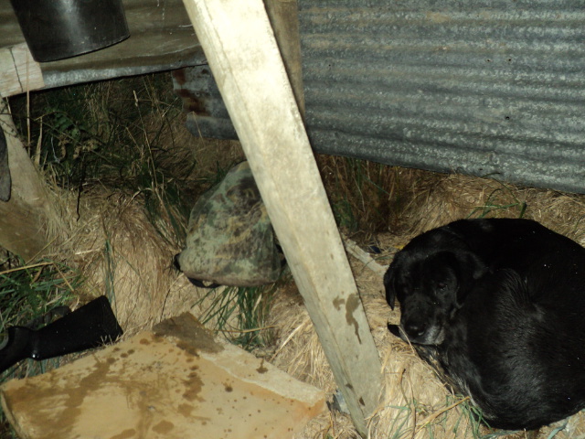 Name:  picture 8629.jpg
Views: 332
Size:  163.7 KB
