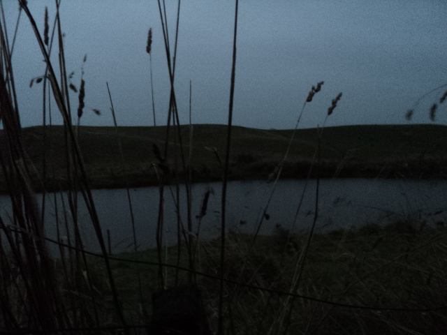 Name:  picture 8630.jpg
Views: 297
Size:  164.7 KB