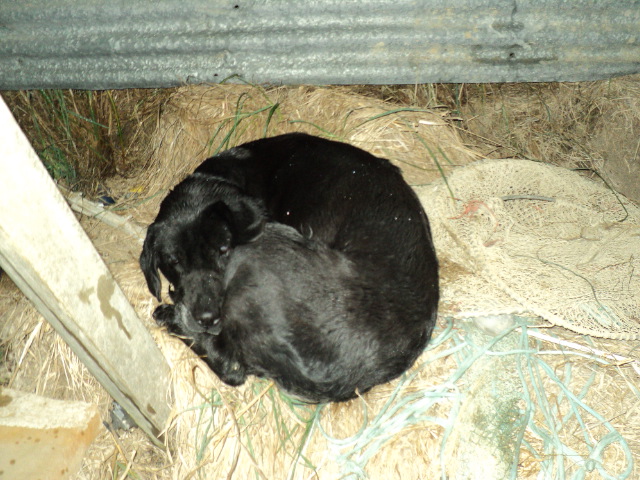 Name:  picture 8632.jpg
Views: 293
Size:  164.8 KB