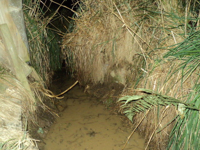 Name:  picture 8633.jpg
Views: 338
Size:  164.0 KB