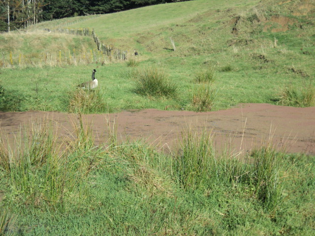 Name:  picture 8635.jpg
Views: 309
Size:  165.1 KB