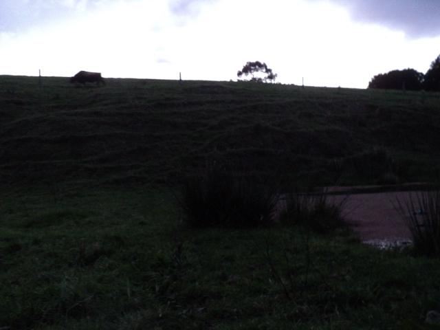 Name:  picture 8643.jpg
Views: 279
Size:  165.1 KB