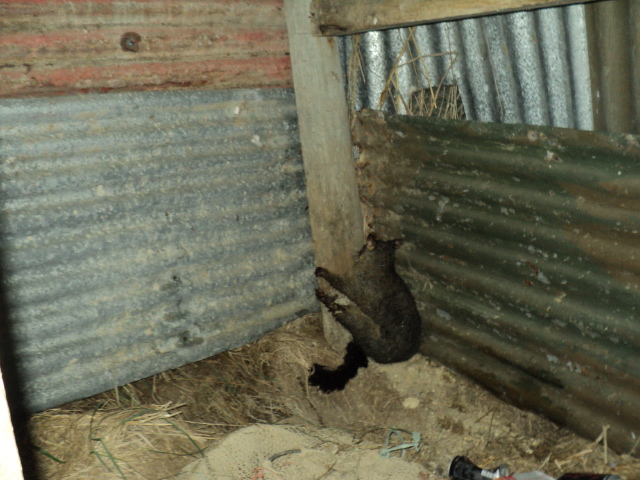 Name:  picture 8647.jpg
Views: 301
Size:  164.0 KB