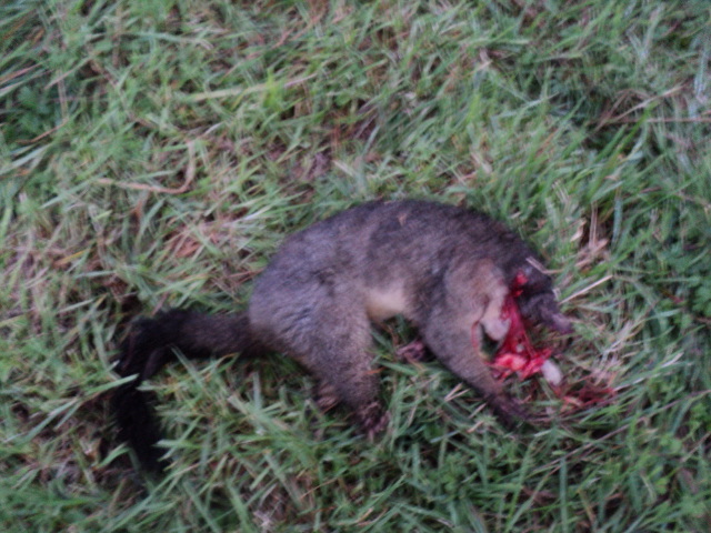 Name:  picture 8649.jpg
Views: 292
Size:  163.1 KB