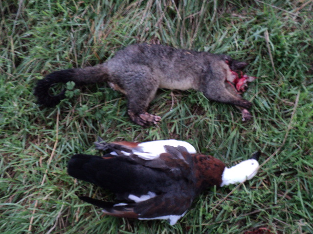 Name:  picture 8651.jpg
Views: 302
Size:  162.6 KB