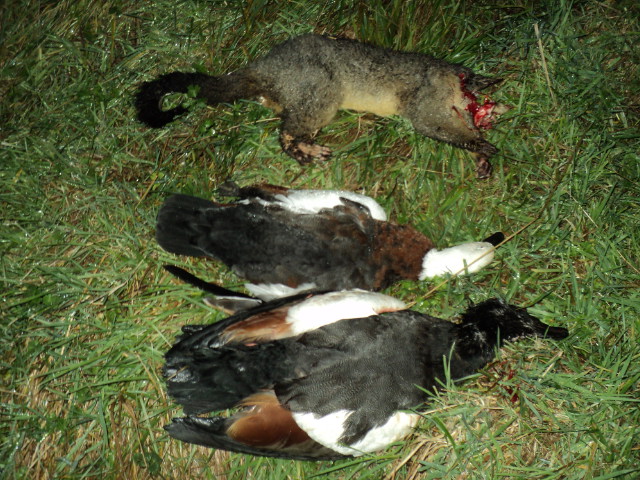Name:  picture 8652.jpg
Views: 279
Size:  164.3 KB