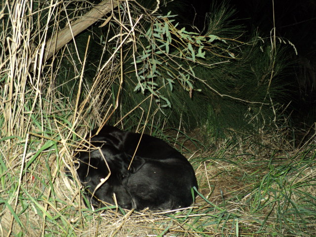 Name:  picture 8662.jpg
Views: 430
Size:  164.8 KB