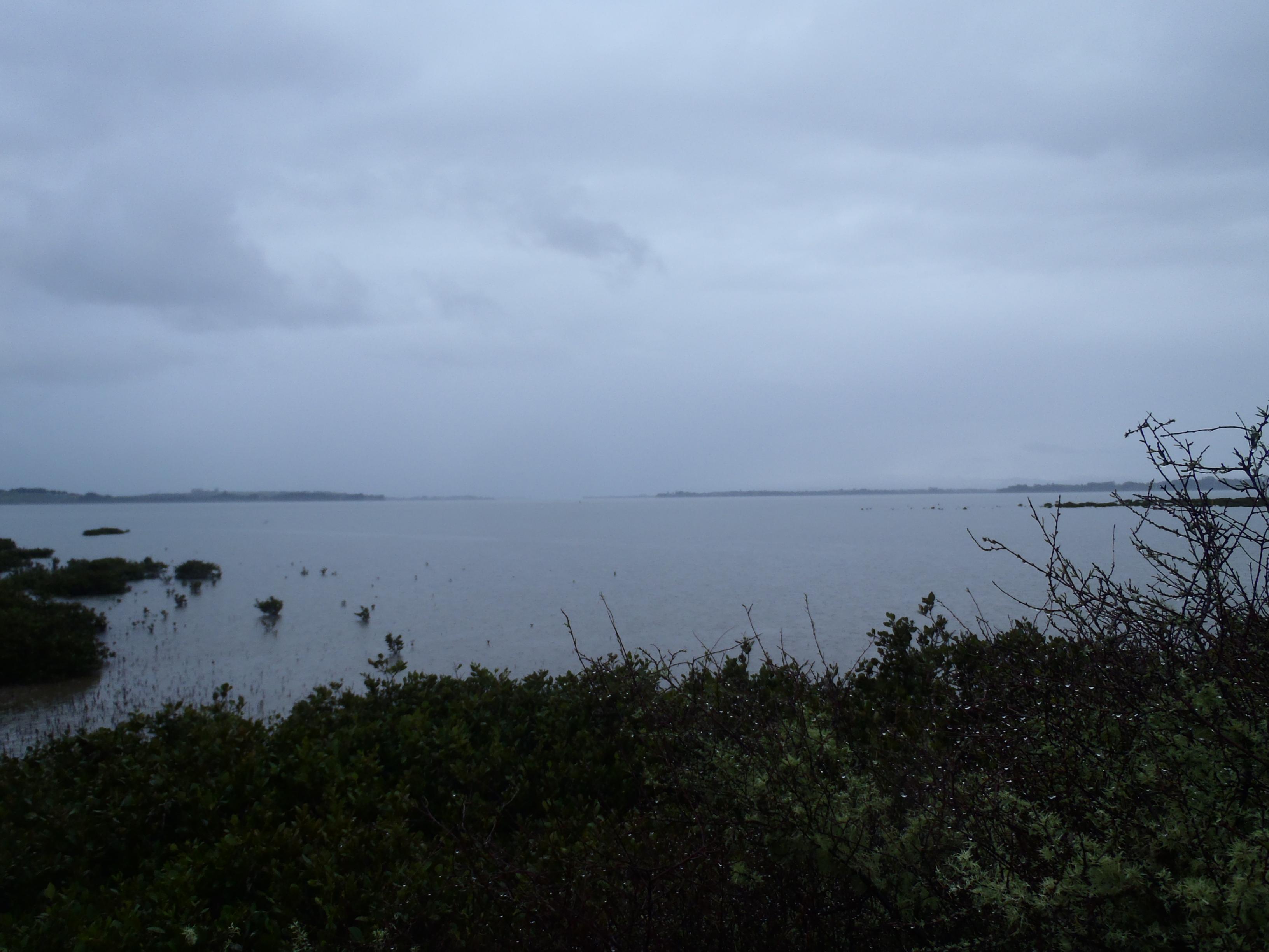 Name:  006.jpg
Views: 371
Size:  466.8 KB