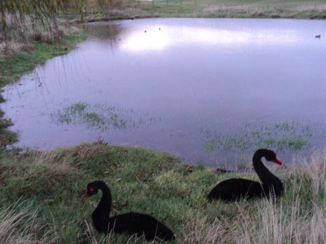 Name:  picture 1935.jpg
Views: 366
Size:  163.4 KB