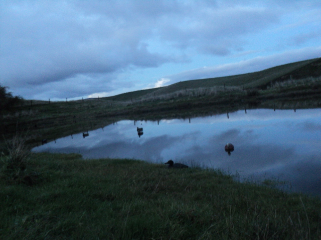 Name:  picture 8685.jpg
Views: 369
Size:  163.4 KB