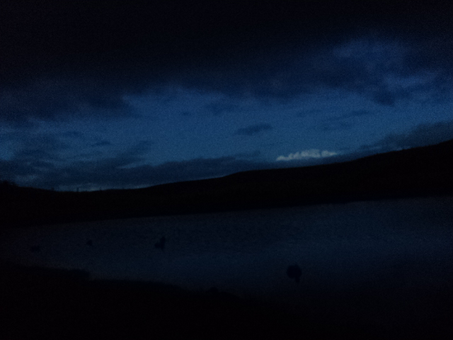 Name:  picture 8686.jpg
Views: 335
Size:  152.2 KB