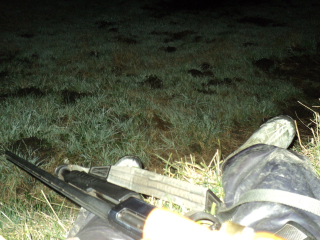Name:  picture 8703.jpg
Views: 324
Size:  163.1 KB