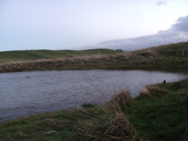 Name:  picture 8726.jpg
Views: 471
Size:  161.2 KB