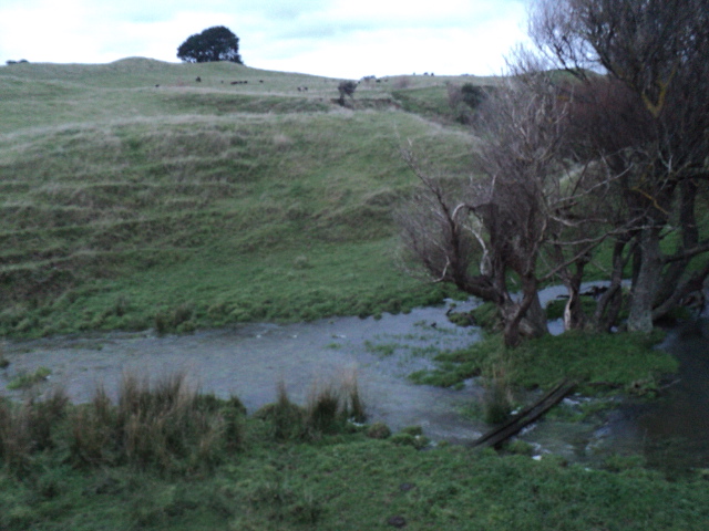 Name:  picture 8820.jpg
Views: 324
Size:  165.2 KB