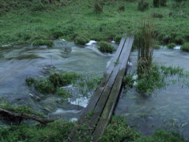 Name:  picture 8821.jpg
Views: 345
Size:  163.4 KB