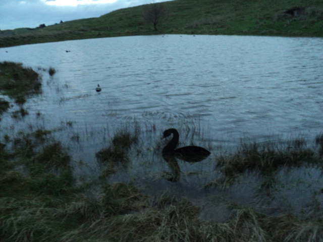 Name:  picture 8822.jpg
Views: 338
Size:  163.5 KB