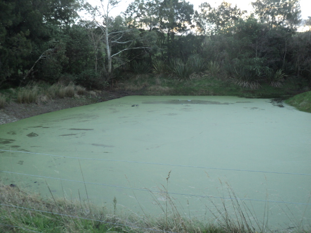 Name:  picture 8834.jpg
Views: 282
Size:  163.3 KB