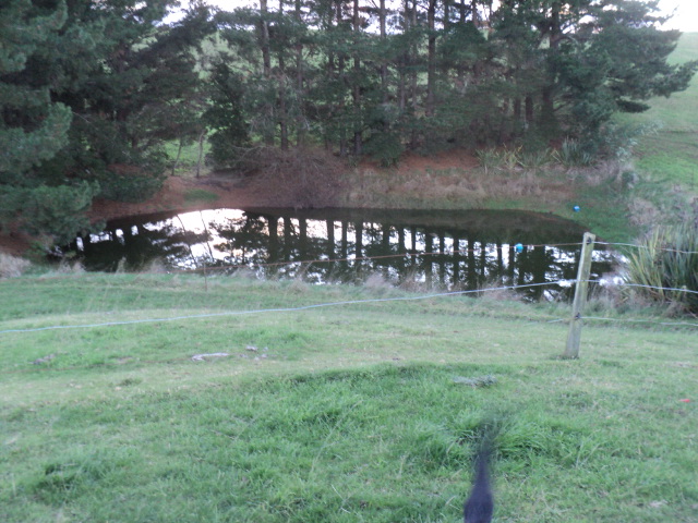 Name:  picture 8835.jpg
Views: 270
Size:  164.1 KB