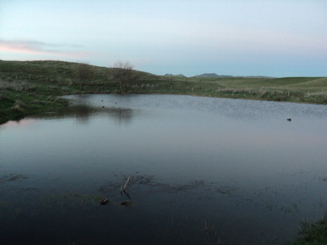Name:  picture 8837.jpg
Views: 277
Size:  164.3 KB