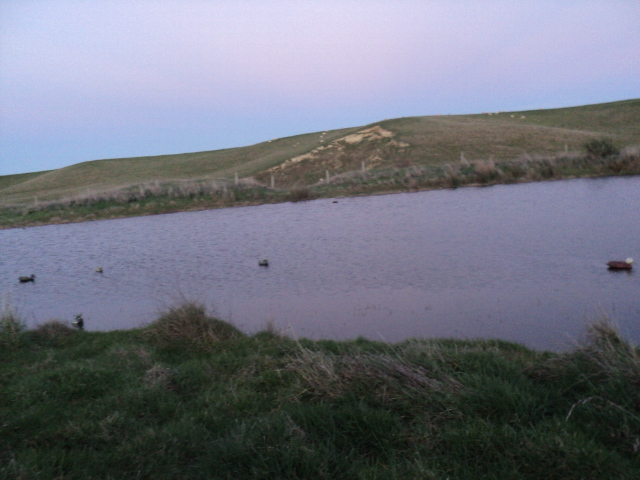 Name:  picture 8838.jpg
Views: 296
Size:  163.3 KB