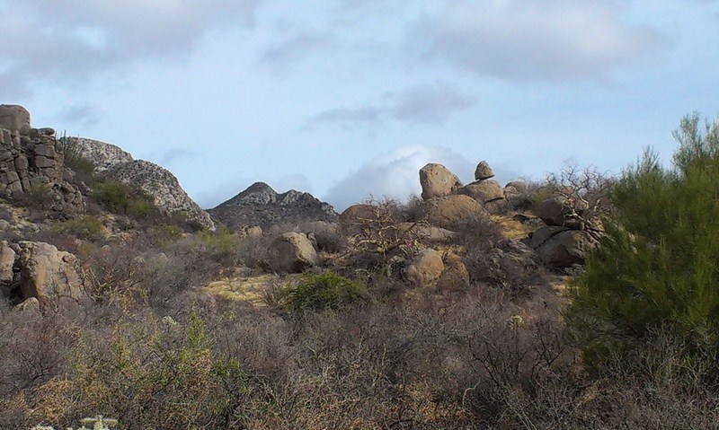 Name:  IMAG0412 (Copy).jpg
Views: 283
Size:  112.4 KB