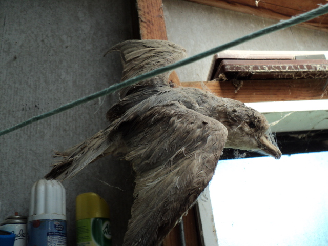 Name:  picture 846.jpg
Views: 416
Size:  165.1 KB