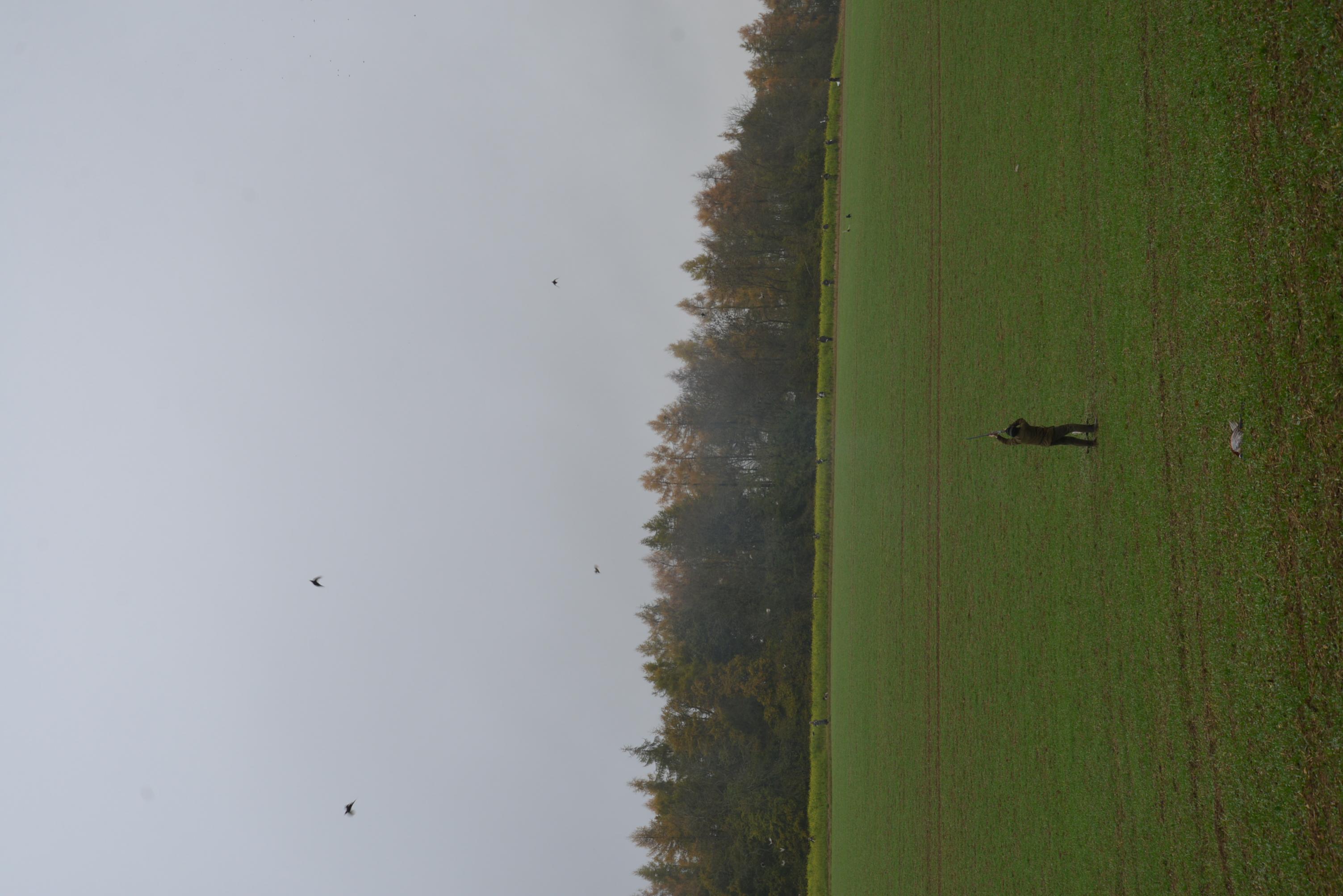 Name:  DSC_7112_7561.jpg
Views: 365
Size:  435.2 KB