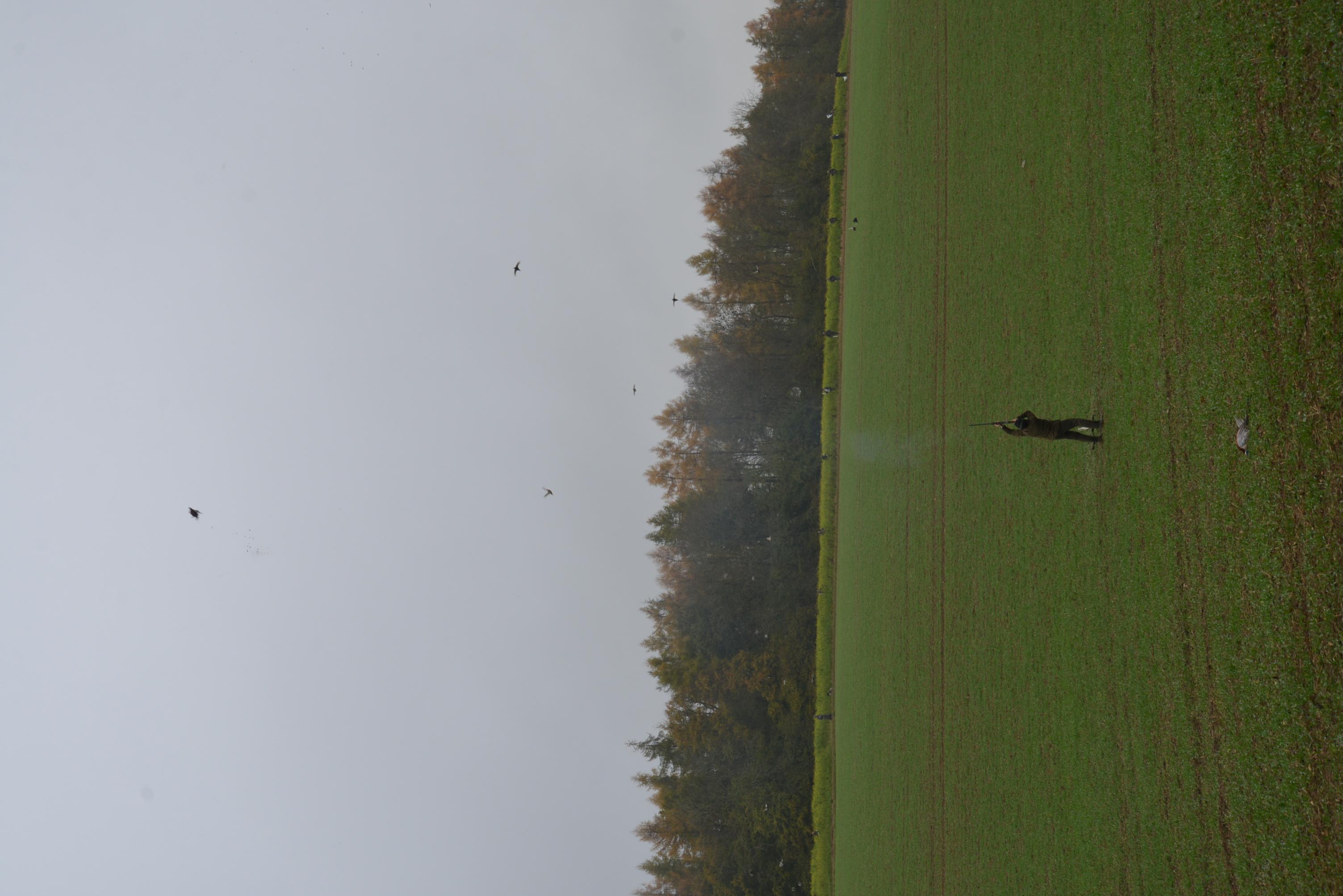 Name:  DSC_7113_7562.jpg
Views: 348
Size:  428.1 KB