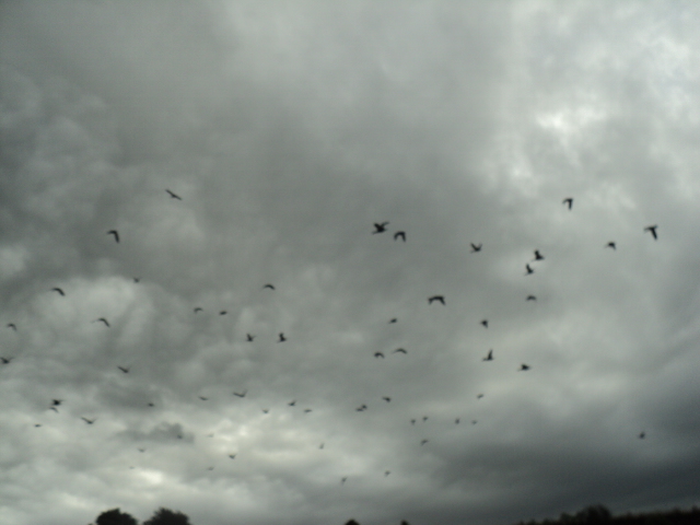 Name:  134.jpg
Views: 345
Size:  164.6 KB