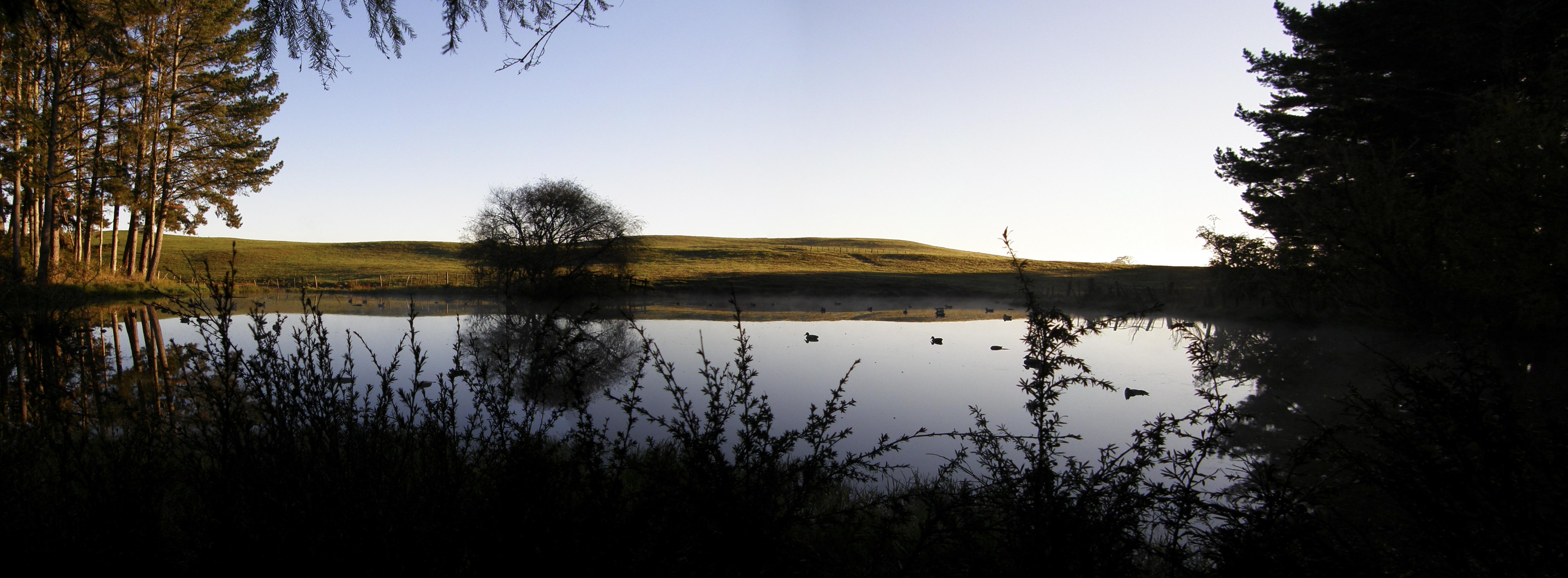 Name:  Pond View.jpg
Views: 908
Size:  920.3 KB