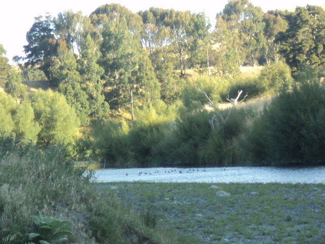 Name:  102.jpg
Views: 546
Size:  164.8 KB