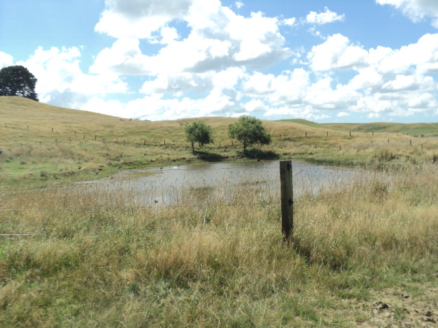 Name:  402.jpg
Views: 443
Size:  165.0 KB