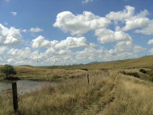 Name:  403.jpg
Views: 431
Size:  165.2 KB