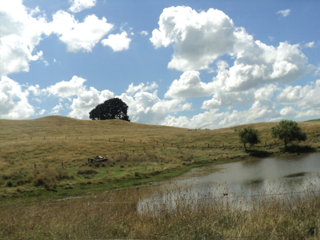 Name:  404.jpg
Views: 541
Size:  165.1 KB