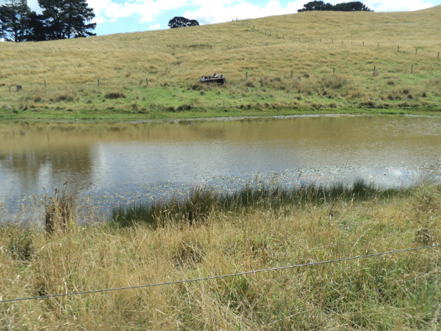 Name:  405.jpg
Views: 393
Size:  165.3 KB