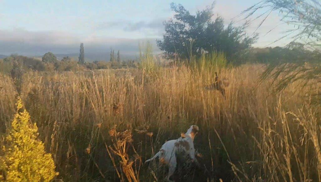 Name:  vlcsnap-2017-04-03-06h58m03s497.jpg
Views: 336
Size:  87.2 KB