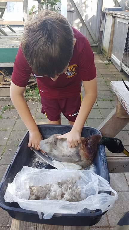 Name:  Duck Plucker.jpg
Views: 382
Size:  55.2 KB