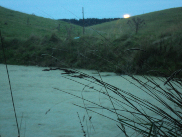 Name:  778.jpg
Views: 251
Size:  165.1 KB
