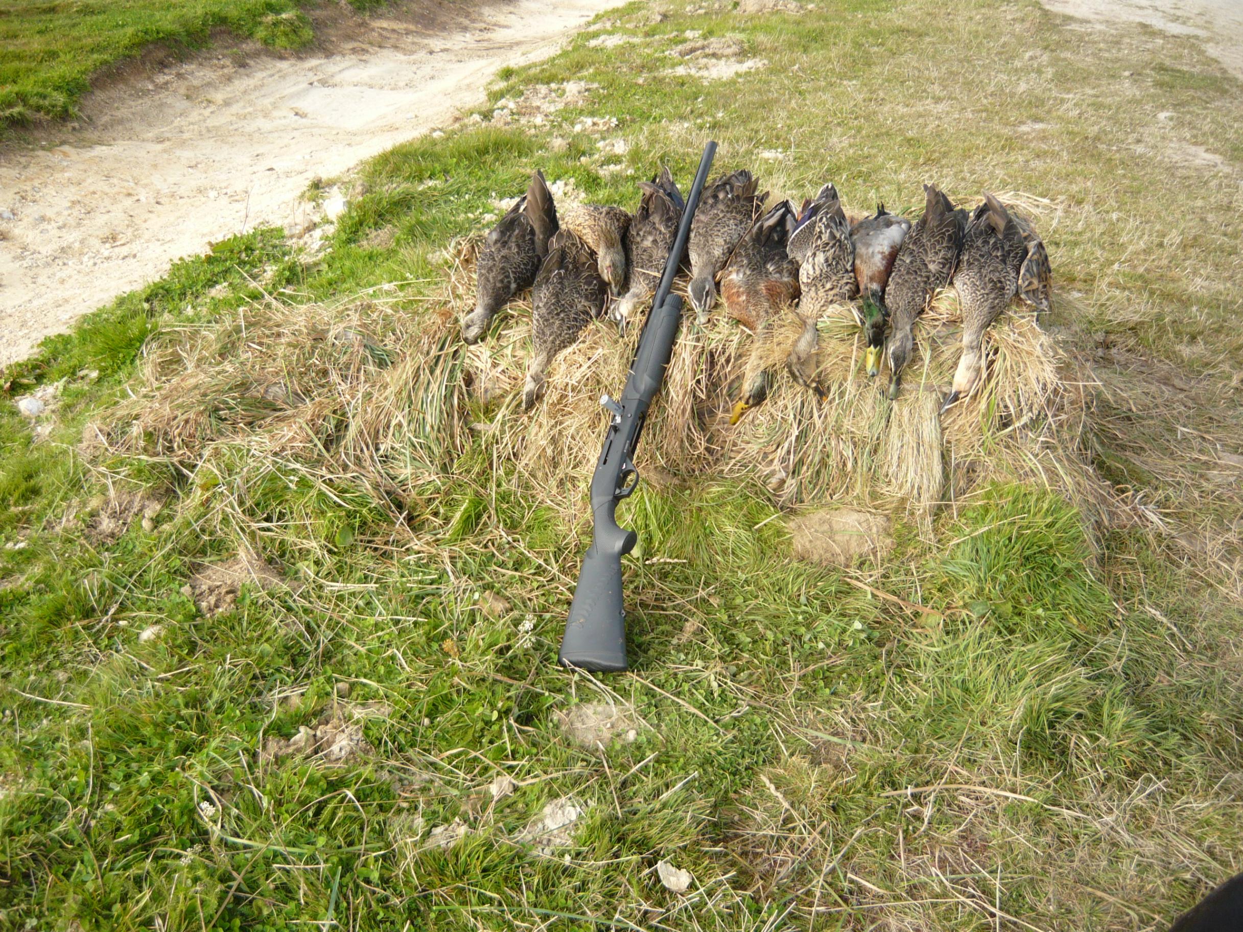 Name:  2012 shooting 024.jpg
Views: 613
Size:  1,000.9 KB