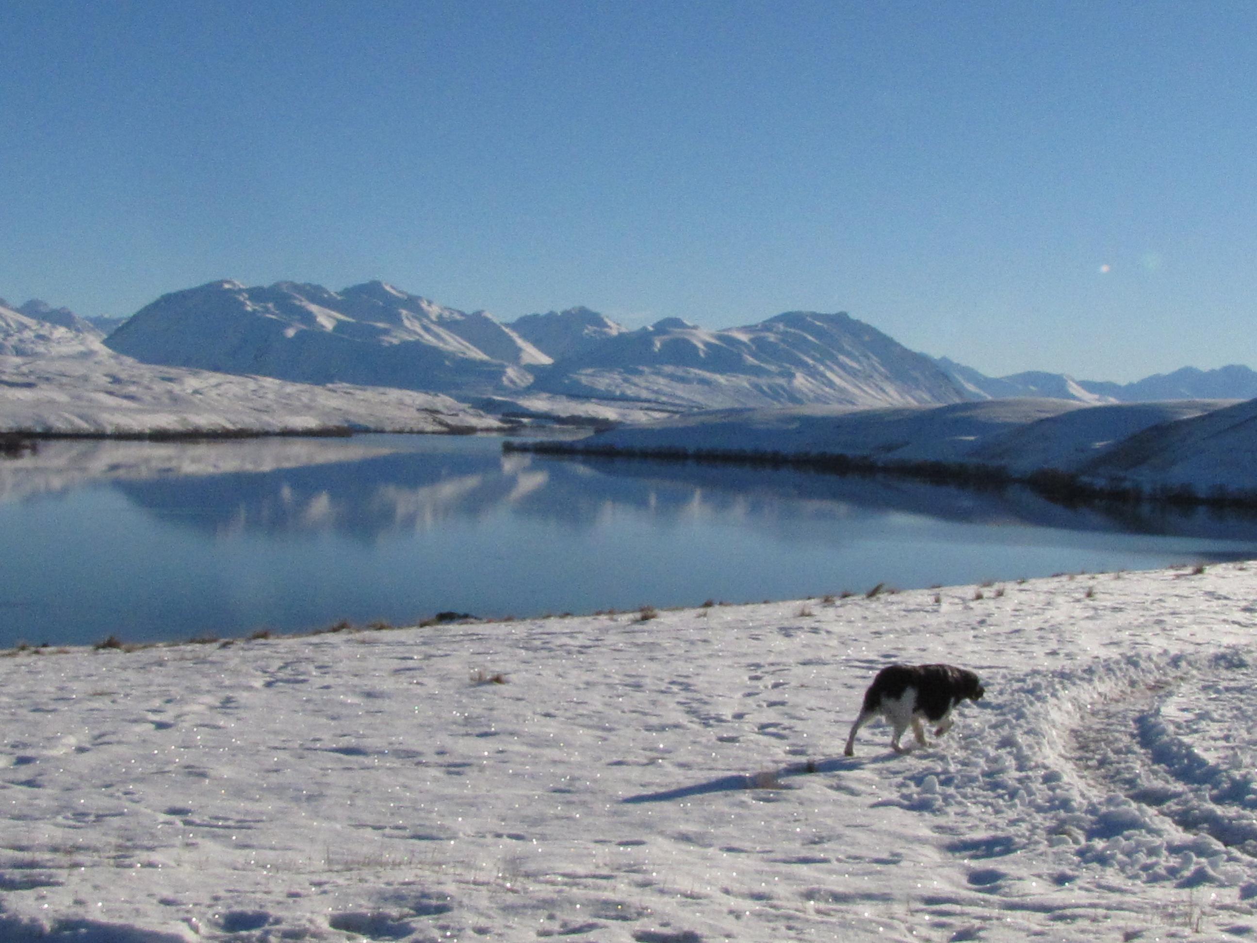 Name:  South Island 036.jpg
Views: 325
Size:  497.4 KB