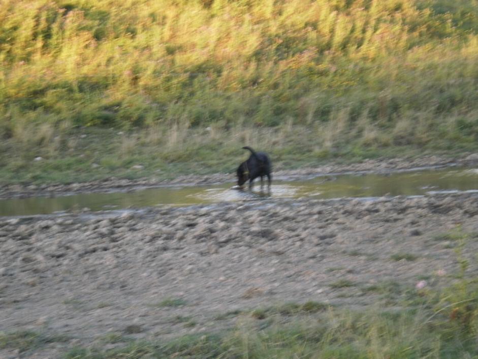 Name:  P2183310.jpg
Views: 249
Size:  92.9 KB