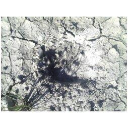 Name:  thumbnail.jpg
Views: 343
Size:  18.8 KB