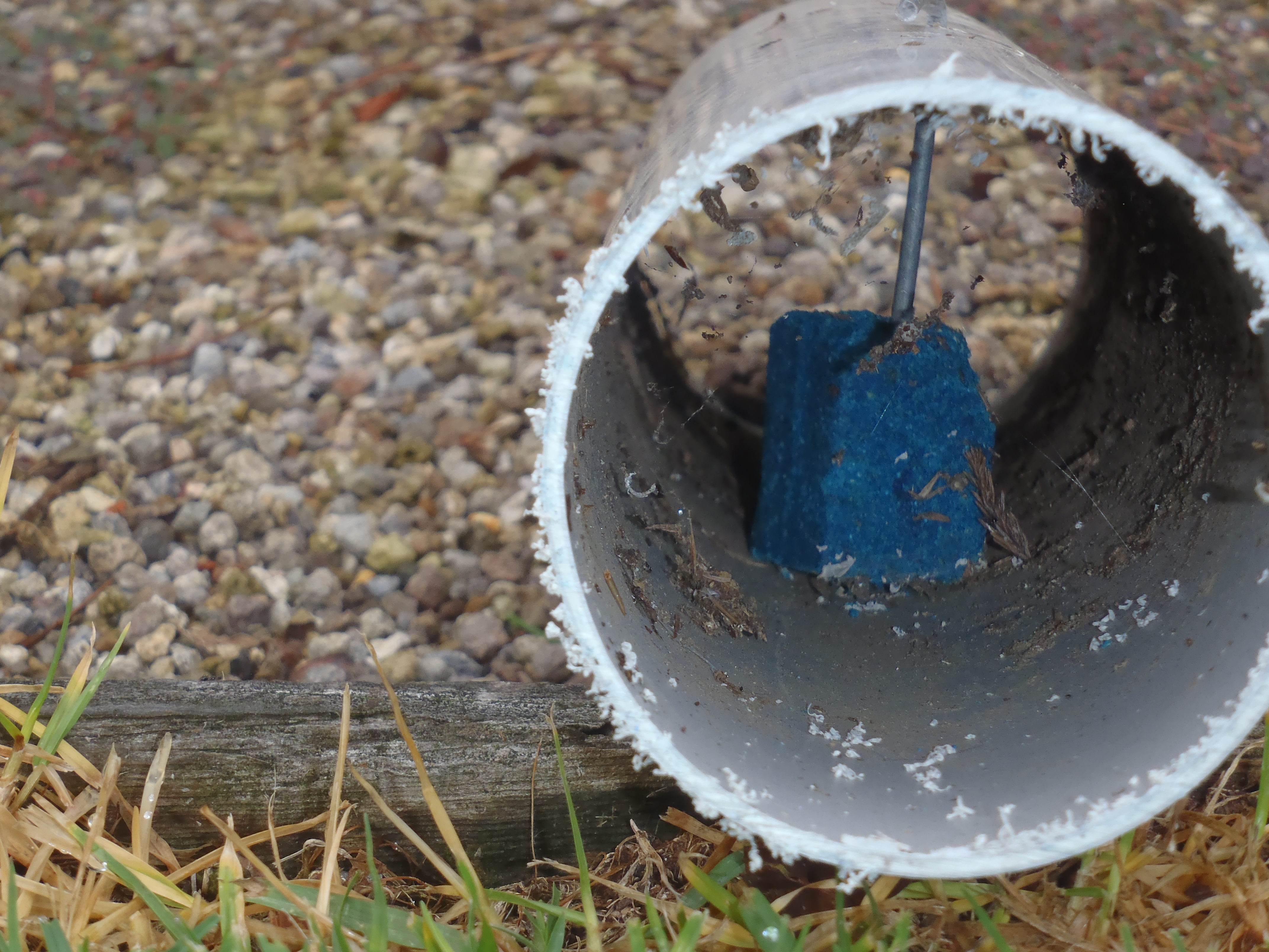 Name:  Rat control #1 002.JPG
Views: 412
Size:  3.09 MB