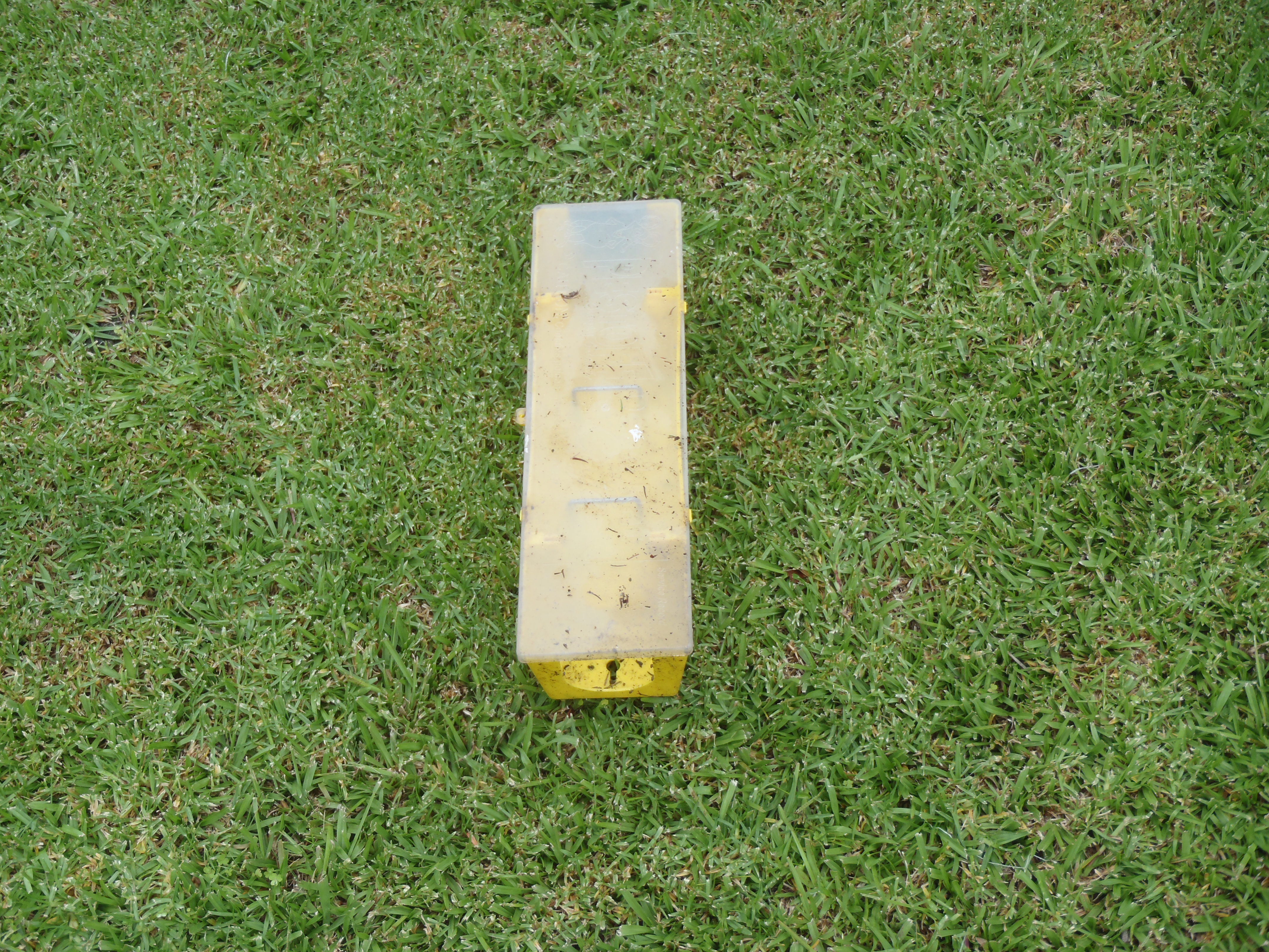 Name:  Rat control #1 003.JPG
Views: 341
Size:  3.20 MB