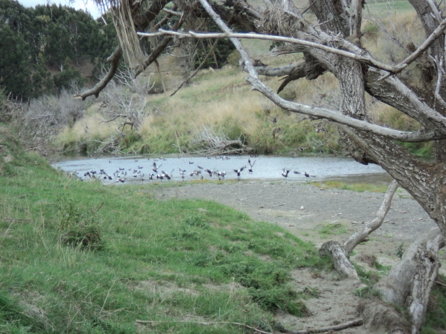 Name:  picture 1372.jpg
Views: 367
Size:  165.2 KB