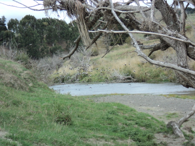 Name:  picture 1373.jpg
Views: 356
Size:  164.4 KB