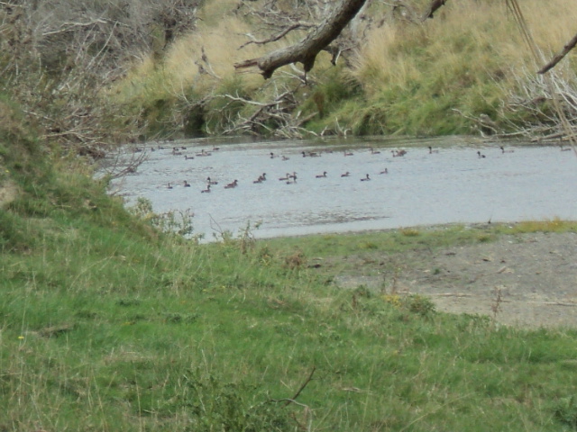 Name:  picture 1374.jpg
Views: 353
Size:  165.1 KB