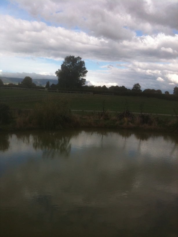 Name:  IMG_0242S.JPG
Views: 581
Size:  297.9 KB